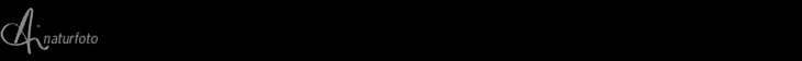 skjesol.net